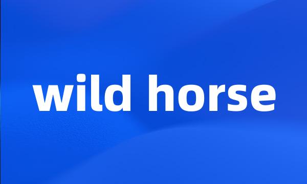 wild horse
