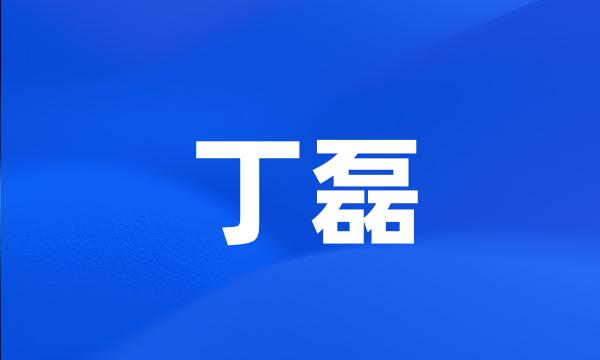 丁磊