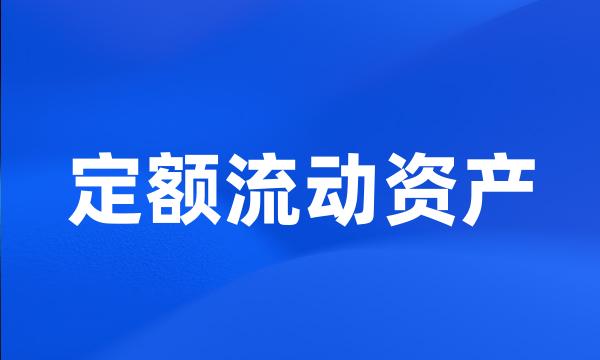 定额流动资产