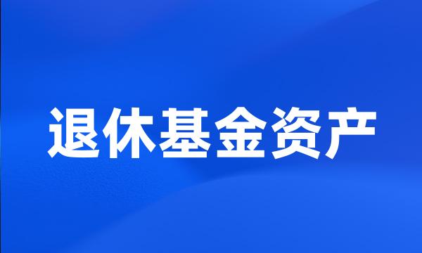 退休基金资产