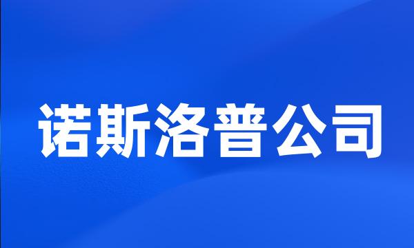 诺斯洛普公司