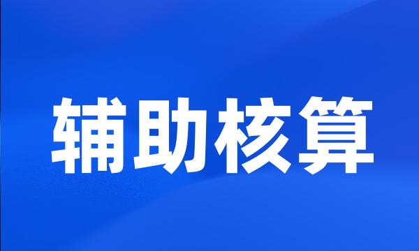 辅助核算