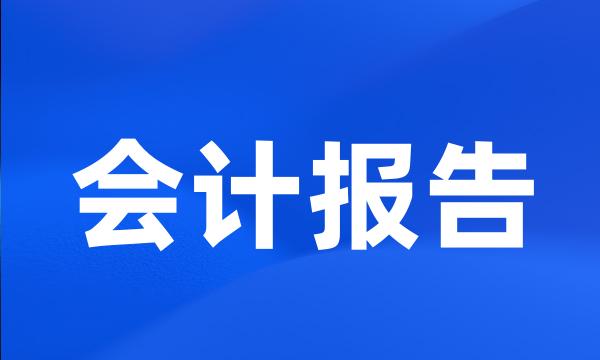 会计报告