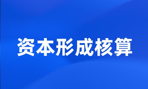 资本形成核算