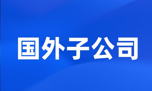 国外子公司