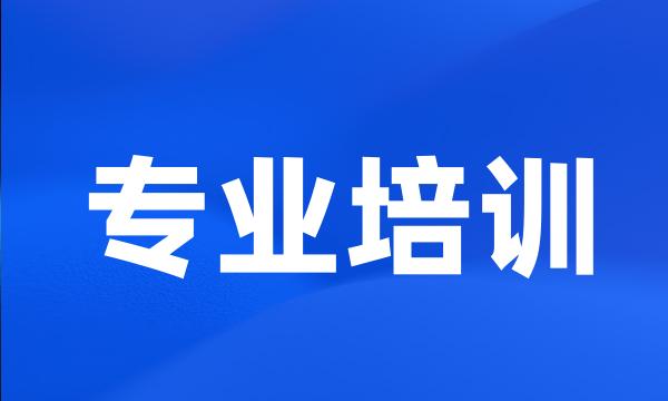 专业培训