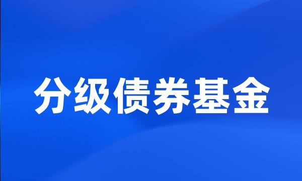 分级债券基金