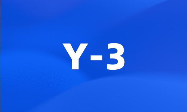 Y-3