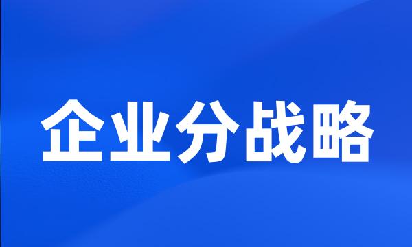 企业分战略