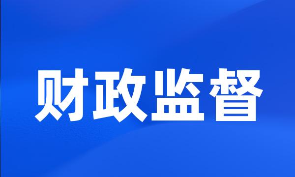 财政监督