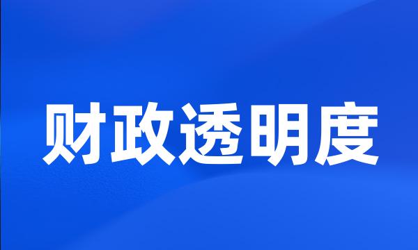 财政透明度