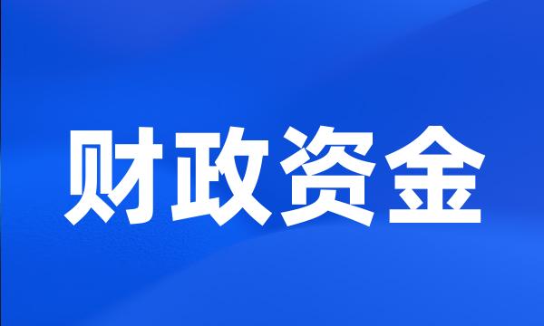 财政资金