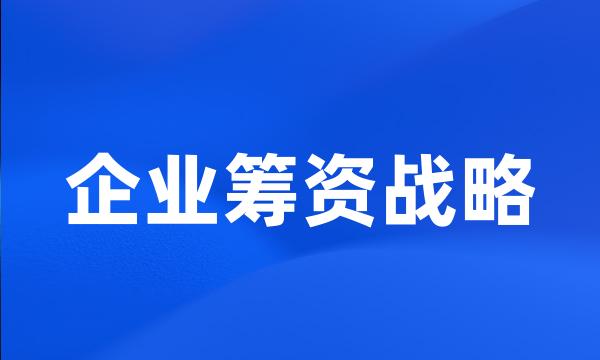 企业筹资战略