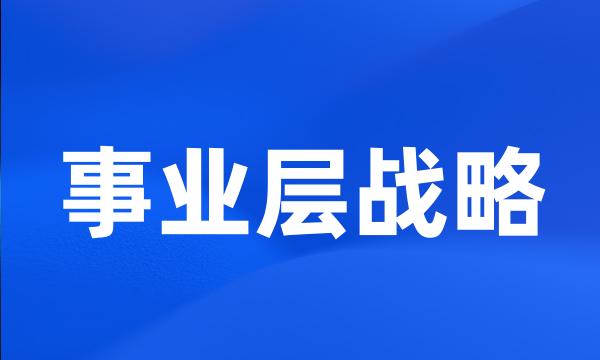 事业层战略