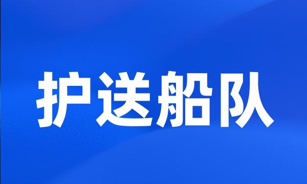 护送船队