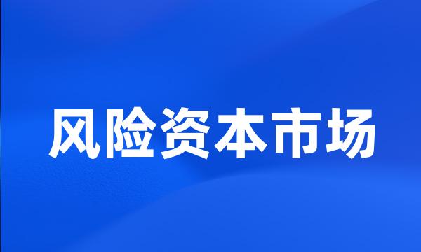 风险资本市场