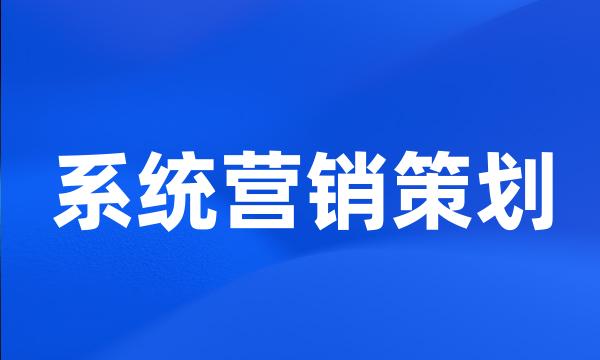 系统营销策划