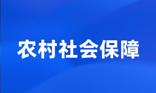 农村社会保障