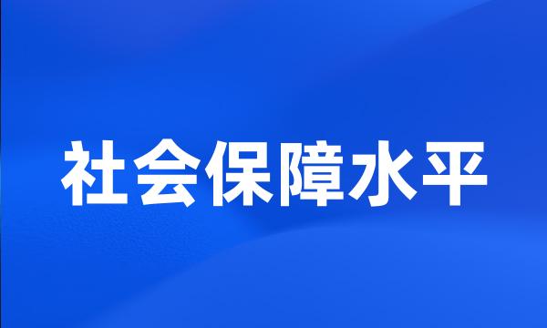 社会保障水平