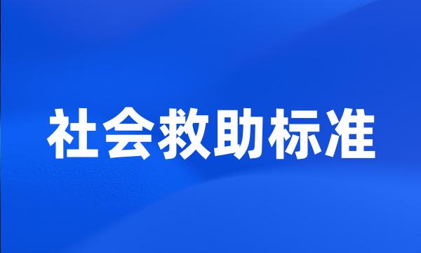 社会救助标准