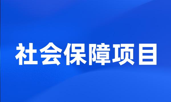 社会保障项目