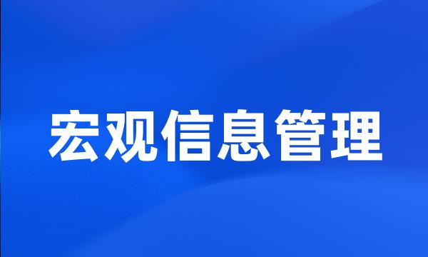 宏观信息管理