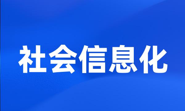 社会信息化