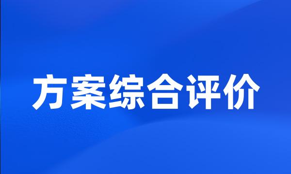 方案综合评价