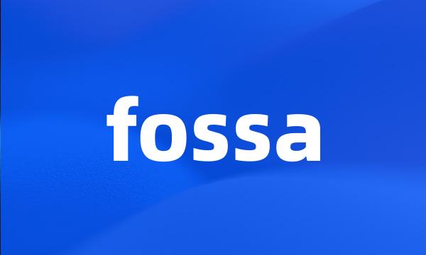 fossa