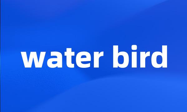 water bird