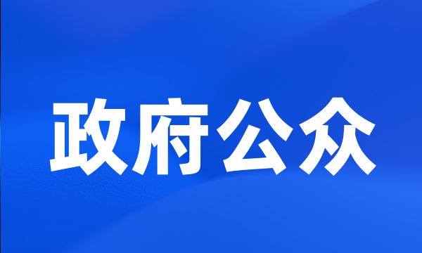 政府公众