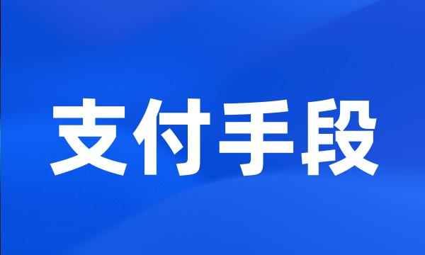 支付手段