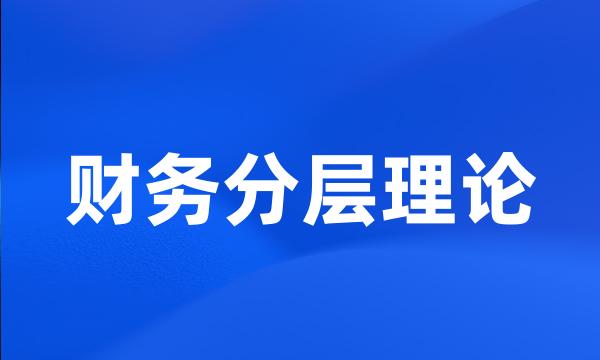 财务分层理论