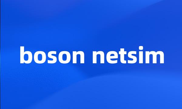 boson netsim