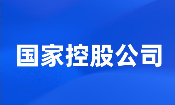 国家控股公司