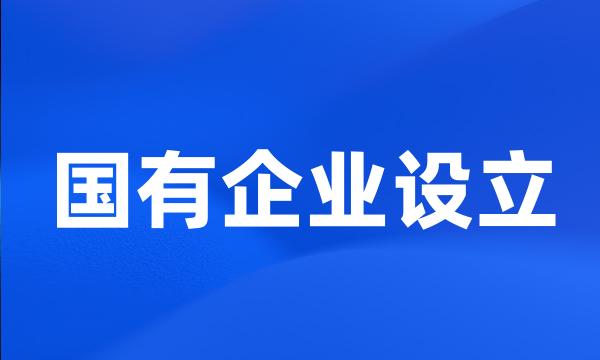 国有企业设立