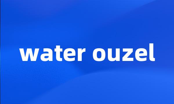 water ouzel