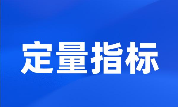 定量指标