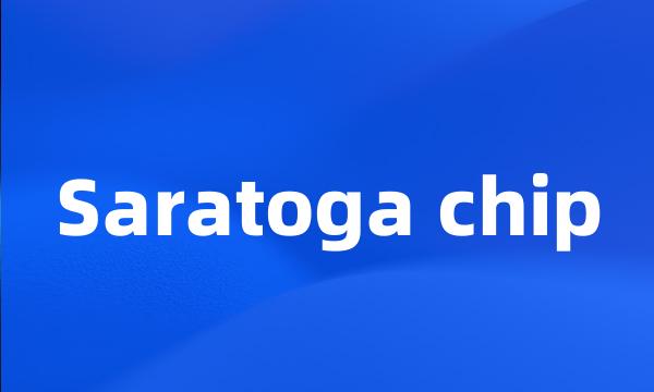 Saratoga chip