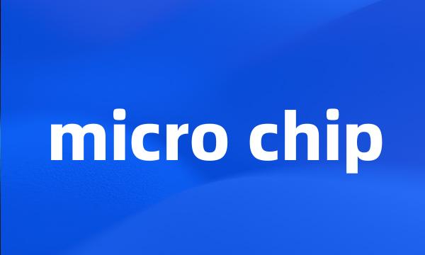 micro chip