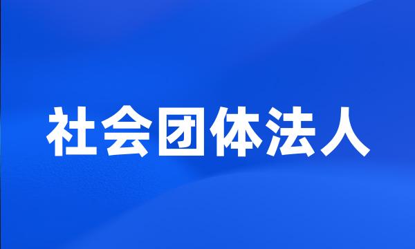 社会团体法人