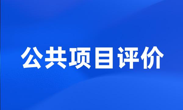 公共项目评价