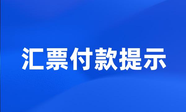 汇票付款提示