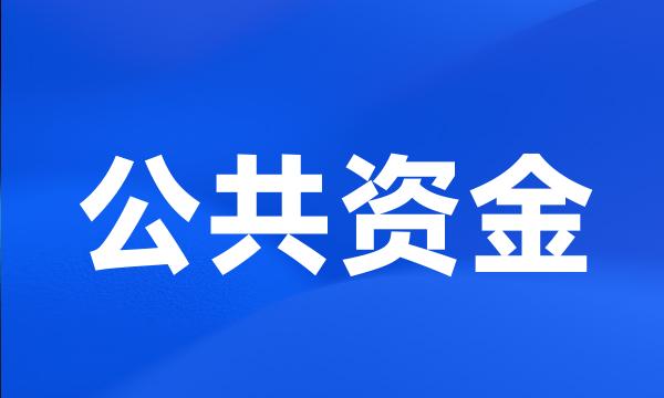 公共资金