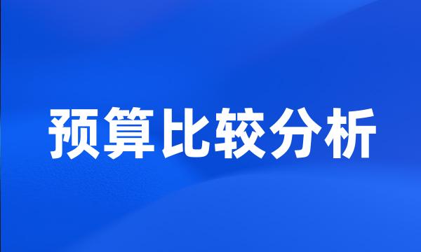 预算比较分析