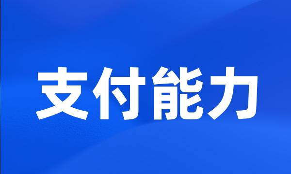 支付能力