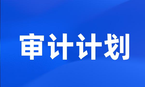 审计计划