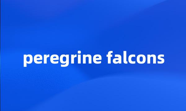 peregrine falcons