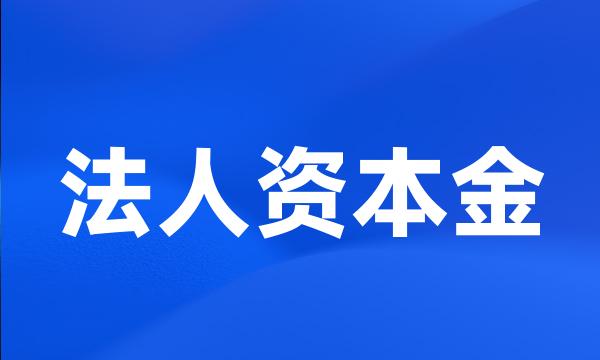 法人资本金