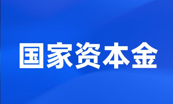 国家资本金